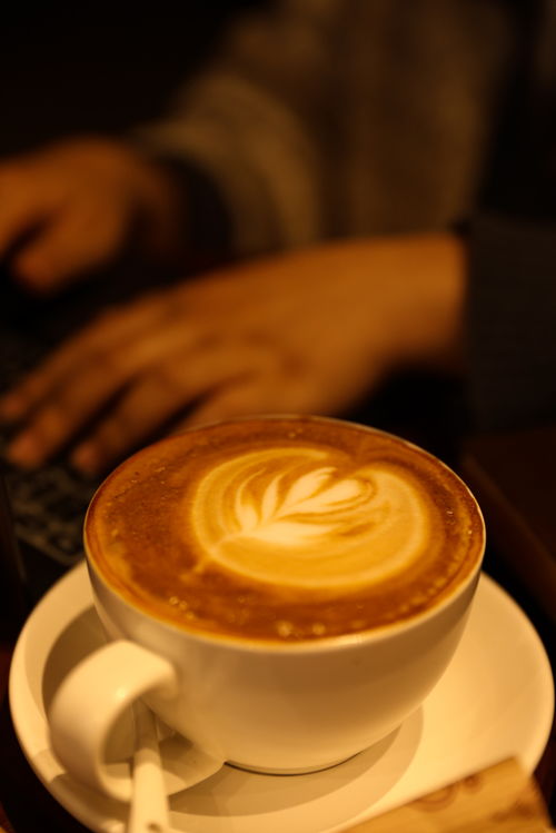 花式美式咖啡咖啡店饮品摄影图 摄影素材